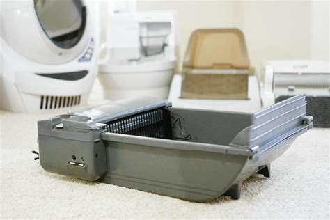 electric litter box reviews|best affordable automatic litter box.